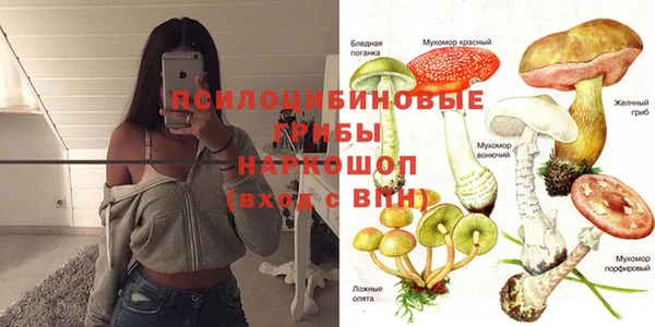 ешки Елизово