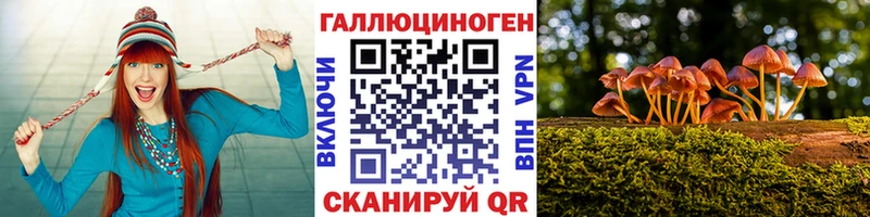 купить наркотики сайты  mega ТОР  даркнет клад  Верещагино  Псилоцибиновые грибы MAGIC MUSHROOMS 